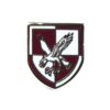 16th Air Assault Brigade Lapel Badge