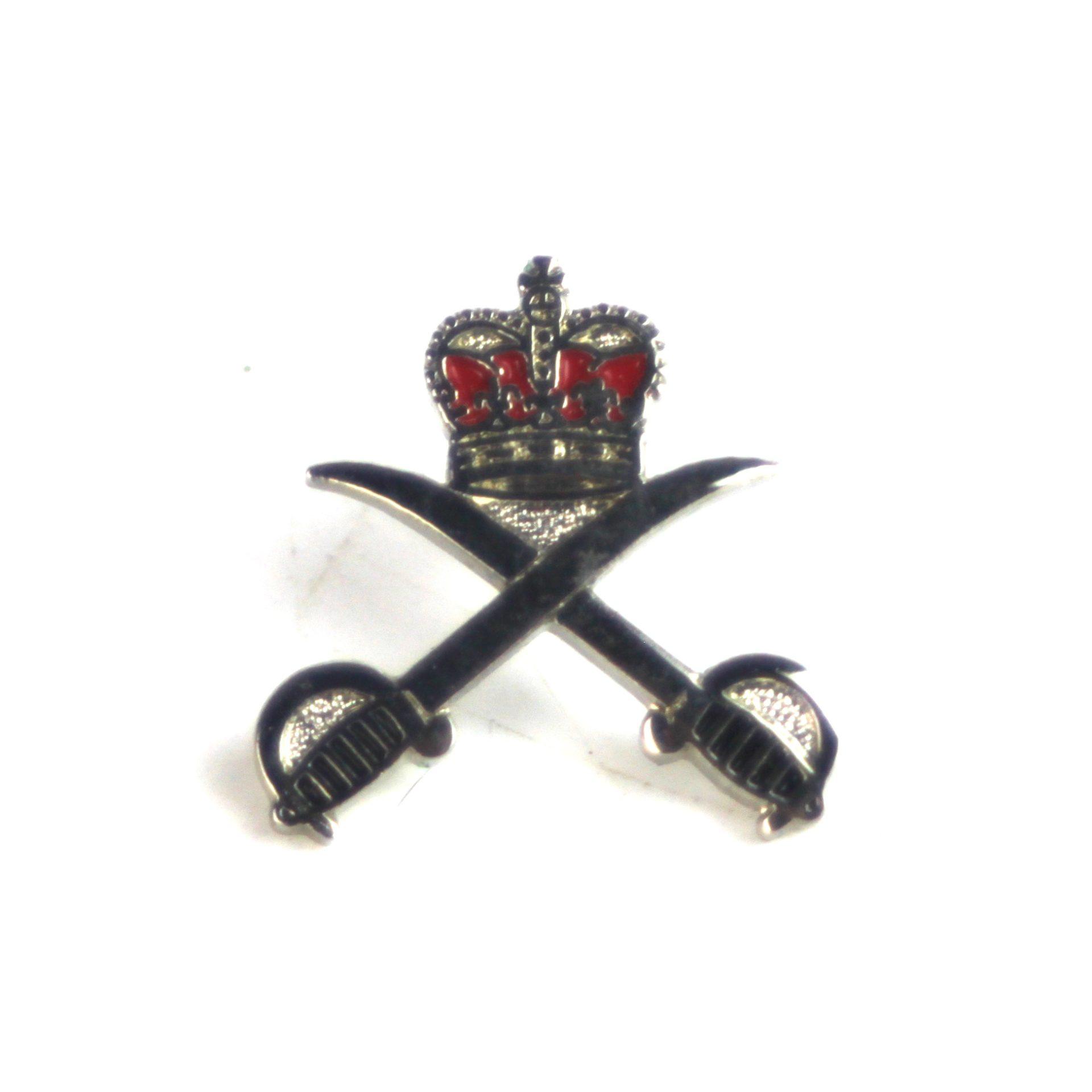Royal army physical training corps lapel badge queen s crown jeremy