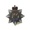 Devonshire Regiment Lapel Badge, Queen's Crown