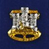 Devonshire and Dorset Regiment Lapel Badge
