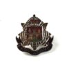 East Surrey Regiment Lapel Badge, King's Crown