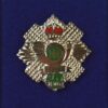 Highland Light Infantry (HLI) Lapel Badge, Queen's Crown