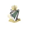 Royal Irish Rangers Lapel Badge