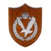 Army Air Corps Queen's Crown Wall Plaque