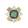 Scots Guards Enamel and Gilt Lapel Badge