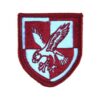 16th Air Assault Brigade Patch - Colour