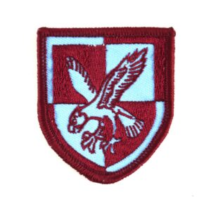 16th Air Assault Brigade Patch - Colour