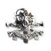17th/21st Lancers Anodised Cap Badge