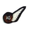Royal Air Force Air Gunner's Brevet Badge