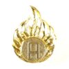 British Army Ammunition Technician Anodised Trade Qualification Badge
