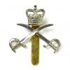 Royal Army Physical Training Corps Queen's Crown, White Metal Cap Badge