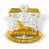 Devonshire and Dorset Regiment Officer's Cap Badge