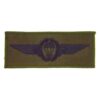 German Parachute Wings - Subdued