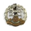 Hampshire Regiment (1898-1947 Pattern) Cap Badge, Original
