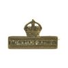 Territorial Force Imperial Service Badge
