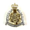 Hampshire & Isle of Wight Territorials Anodised Cap Badge, Queen's Crown