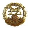 Hampshire Regiment Cap Badge (1898-1947 Pattern) - Original