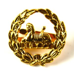 Royal Gloucestershire, Berkshire & Wiltshire (RGBW) Regiment Back Badge