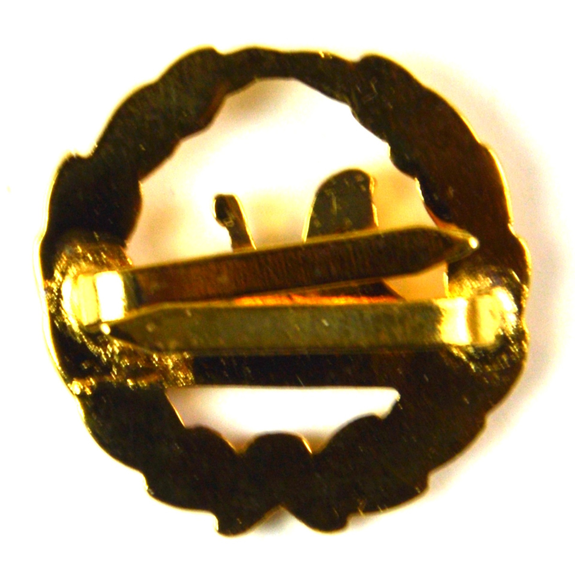 Royal Gloucestershire, Berkshire & Wiltshire (RGBW) Regiment Back Badge - Image 2