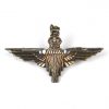 Parachute Regiment (Hallmark Silver) Beret Badge, King's Crown, Restrike