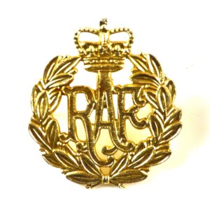 Royal Air Force (RAF) Anodised Cap Badge, Queen's Crown