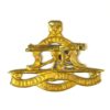 Regiment President Steyn Cap Badge