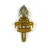Royal Army Educational Corps Cap Badge, King's Crown Restrike