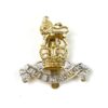 Royal Army Pay Corps Anodised Cap Badge, Queen's Crown
