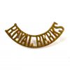 Royal Berkshire Regiment (Royal Berks) (1907-1920 Pattern) Curved Brass Shoulder Title