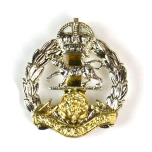 Royal Hampshire Regiment King's Crown Cap Badge, Restrike