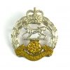 Royal Hampshire Regiment Bimetal Cap Badge, Queen's Crown