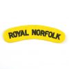 Royal Norfolk Embroidered Shoulder Title, Green on Yellow