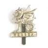 Wessex Brigade Anodised Cap Badge