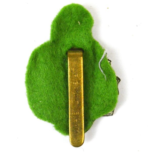 8th LIVERPOOL IRISH KC w/m cap badge (Original) - Image 2