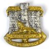 Devonshire and Dorset Regiment (Other Ranks) Cap Badge, Bimetal Restrike