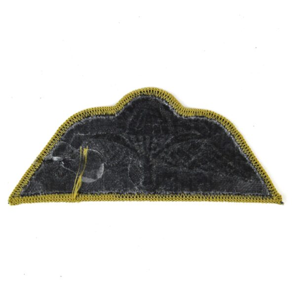 Parachute Regiment Cloth Wings, Tropical - Image 2