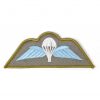 Parachute Regiment Cloth Wings, Tropical