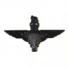 Parachute Regiment Black Beret Badge, Queen's Crown