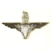 Parachute Regiment Beret Badge, Queen's Crown, White Metal
