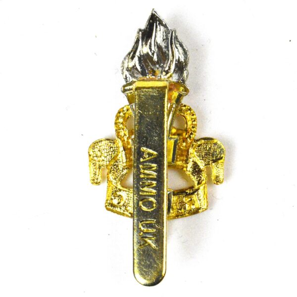 Royal Army Educational Corps (Other Rank's) Cap Badge, Bimetal, Queen's Crown - Image 2