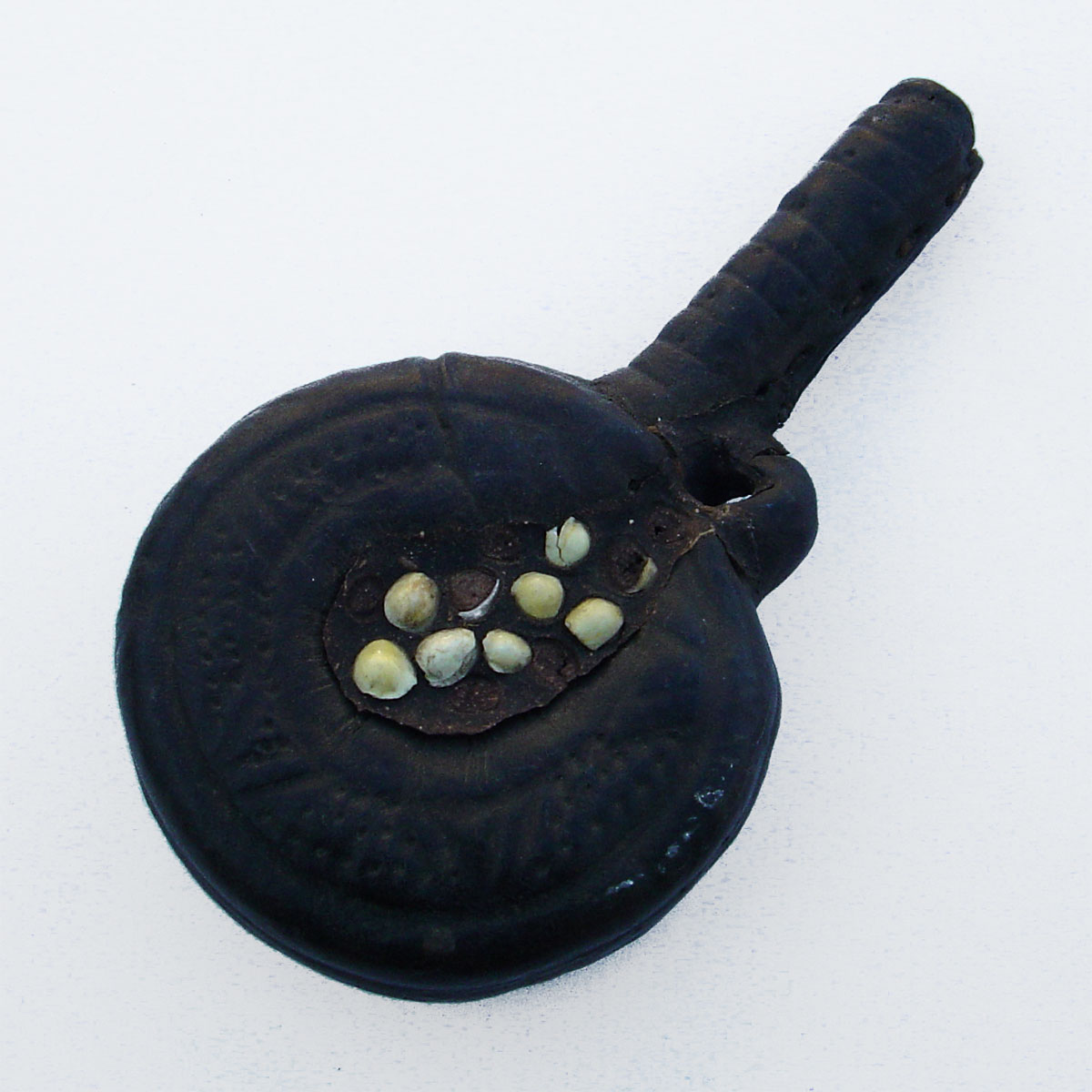 POWDER FLASK Leather with Cory shell decoration, from North Africa or ...