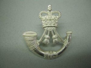 RIFLES - cap badge