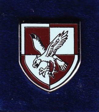 16 AIR ASSAULT BRIGADE lapel badge