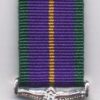 ACCUMULATED SERVICE MEDAL - miniature