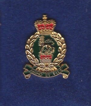 AGC lapel badge CAP BADGE enamel QC