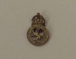 ARMY CADET FORCES KC plastic lapel badge