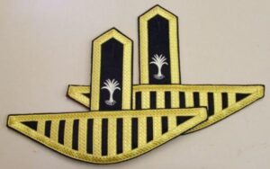 BANDMANS SWALLOW NEST EPAULETTES WELSH  GUARDS