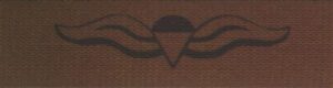 BASIC PARACHUTE WINGS Basic black on Nutria cloth