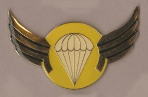 BOSPHUTSWANA - ADVANCED WING Yellow
