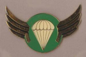 BOSPHUTSWANA - BASIC WING Green
